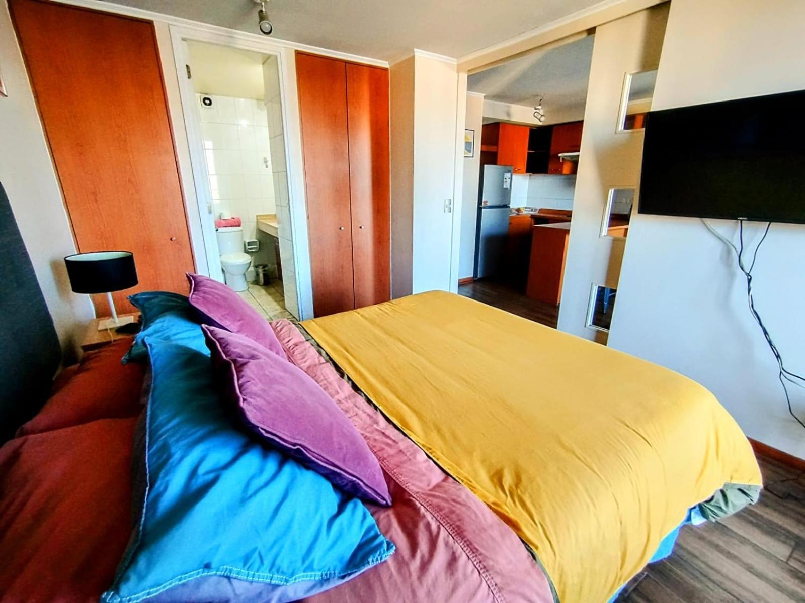 Appartamento Lastarria Santiago del Cile
