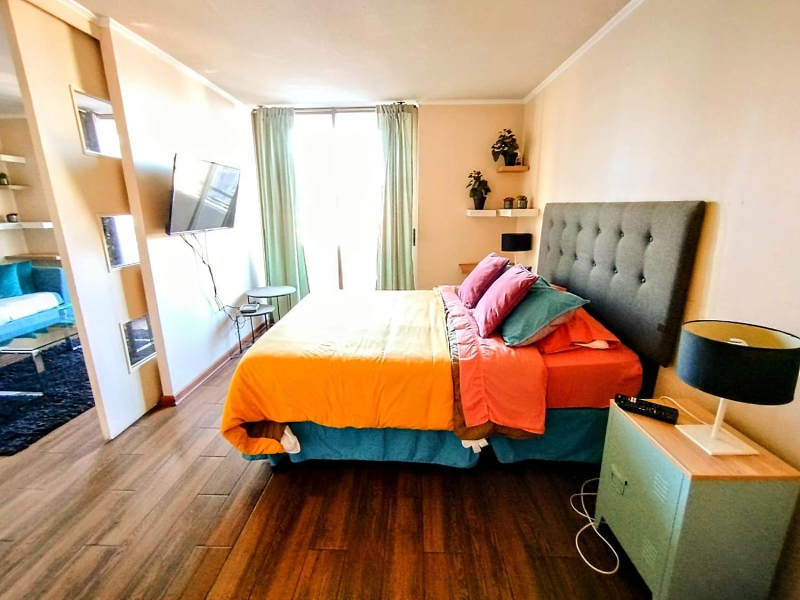 Appartamento Lastarria Santiago del Cile